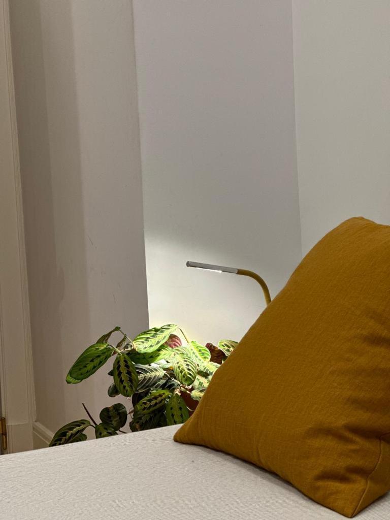 Apartment Apartamento Agradavel No Centro Historico De Lissabon