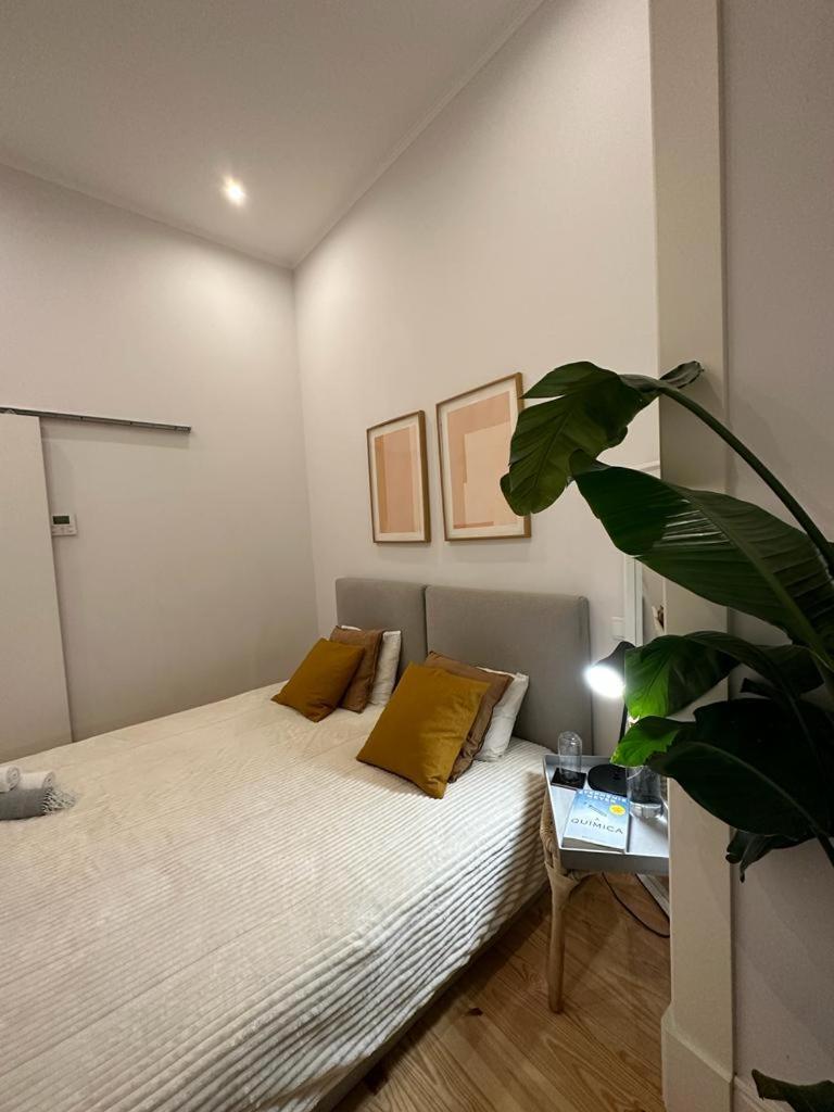 Apartamento Agradavel No Centro Historico De Apartment