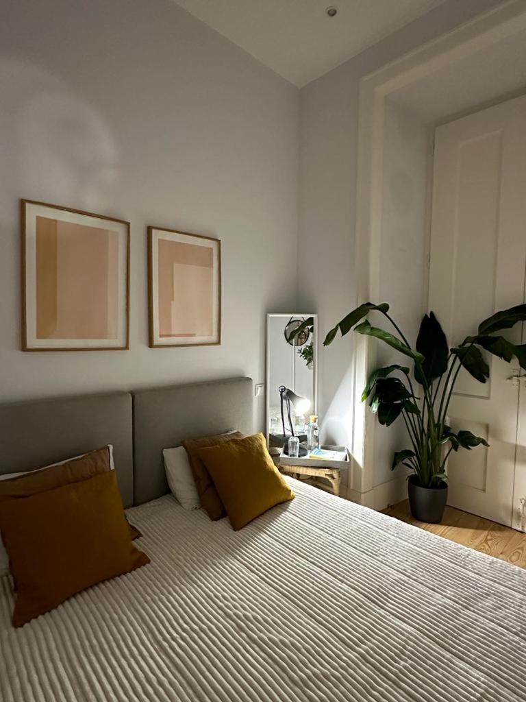 Apartamento Agradavel No Centro Historico De